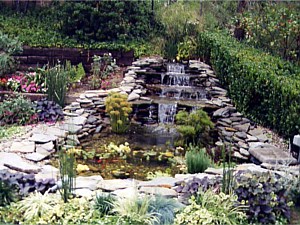 Photo 31