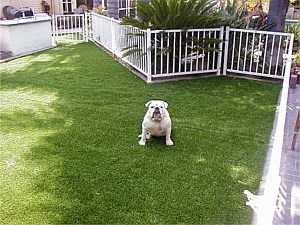 Artificial, Synthetic, and fake grass installation Artificial, Synthetic, and fake grass installation