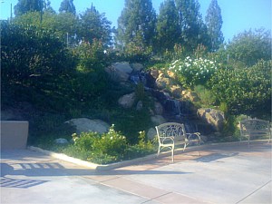 Photo 32