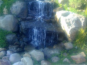 Photo 34