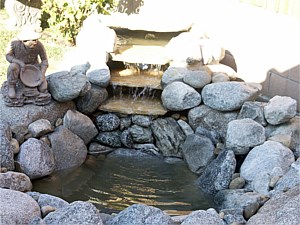 Photo 33