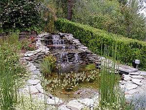 Photo 35